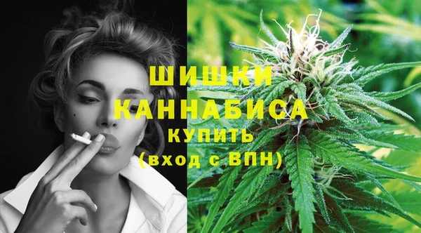 прущая мука Инта