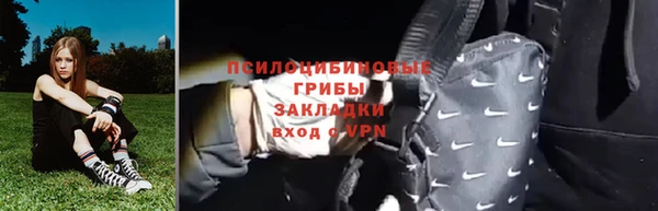 трава Инсар