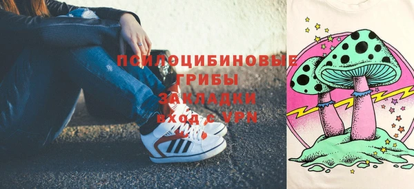 прущая мука Инта