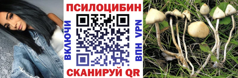 Галлюциногенные грибы Psilocybine cubensis  Купить где  Гагарин 