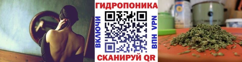 Бошки Шишки план  Купить где  Гагарин 